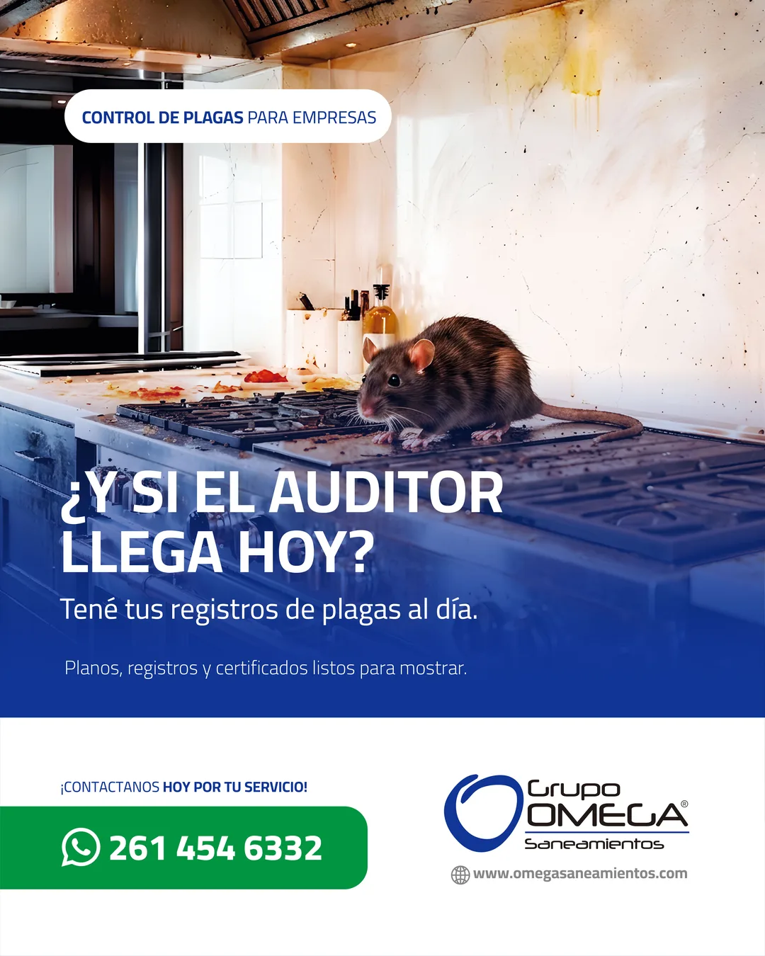 Pieza: ¿Y si el auditor llega hoy?