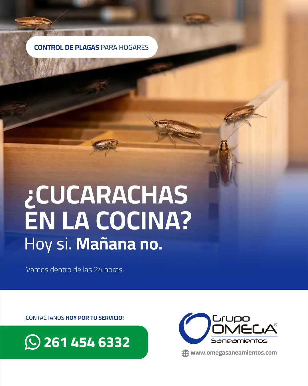 Pieza: ¿Cucarachas en la cocina?