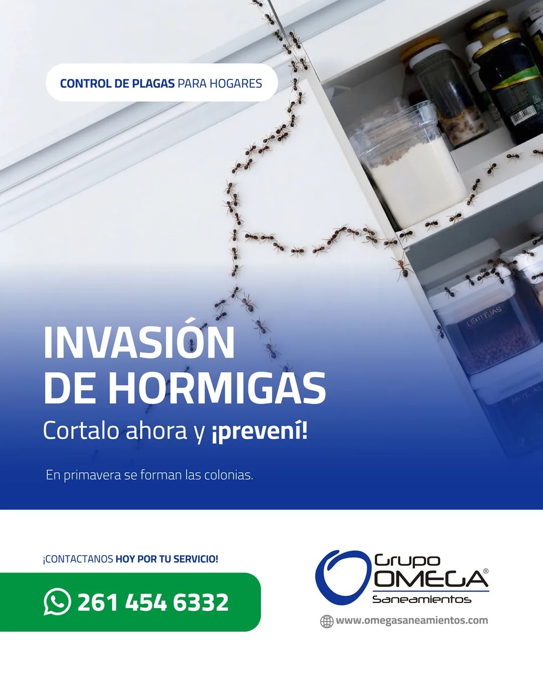 Pieza: Invasión de hormigas