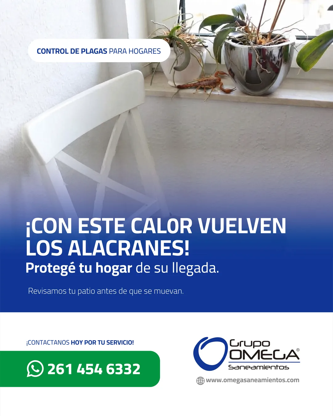 Pieza: ¡Con este calor vuelven los alacranes!
