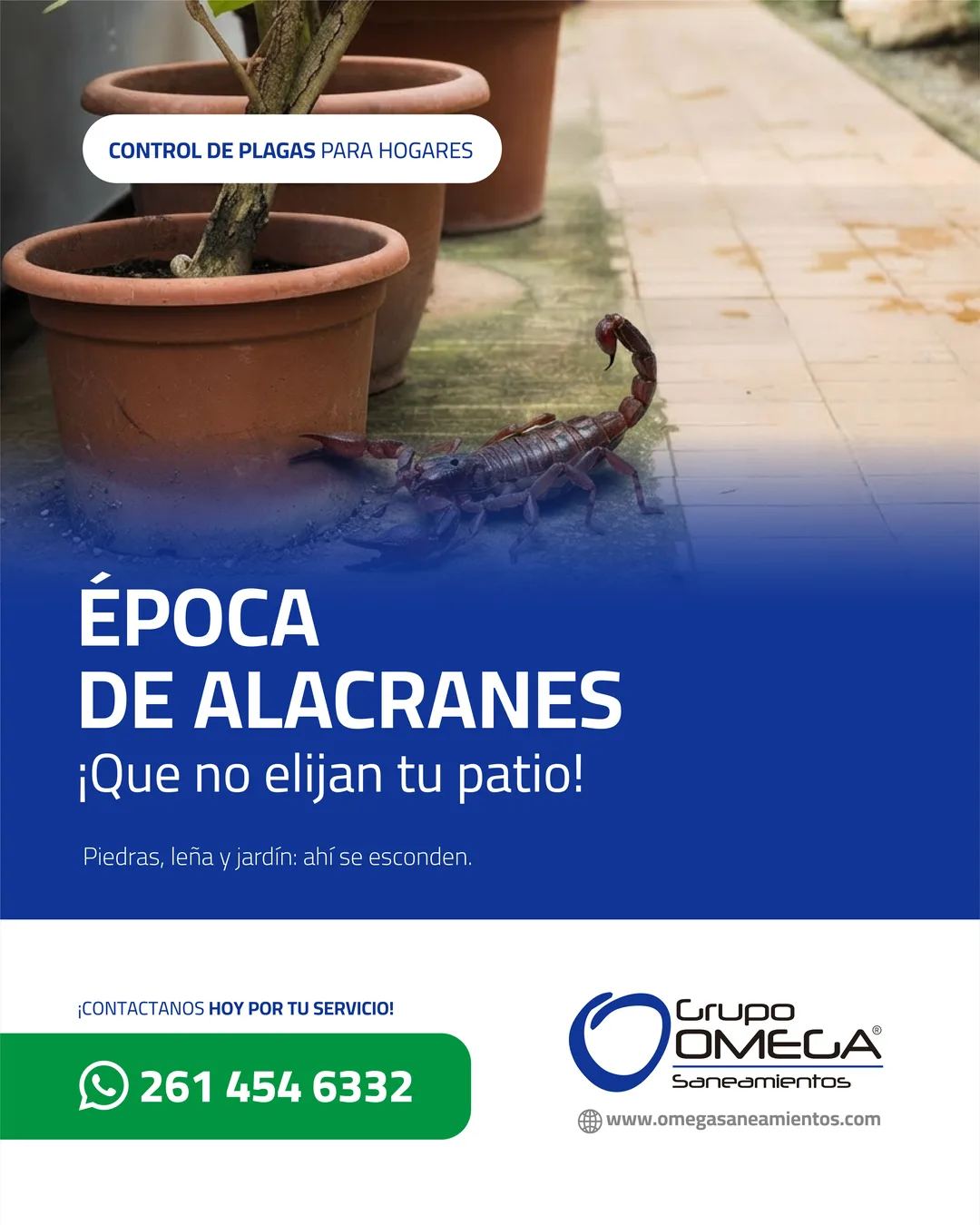 Pieza: Época de alacranes