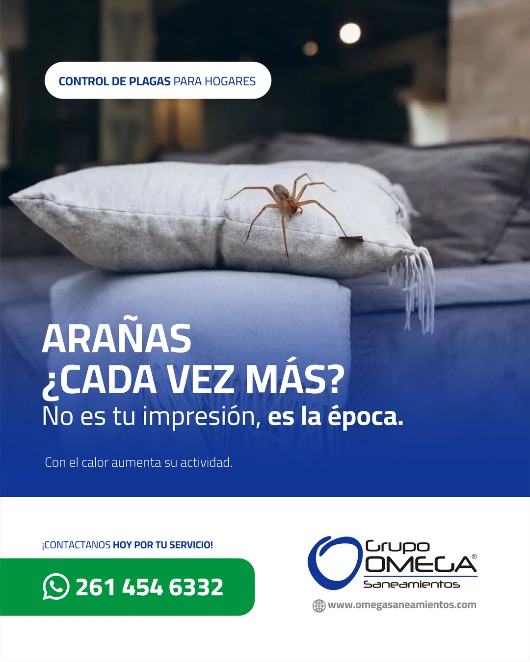 Pieza: Arañas, ¿cada vez más?