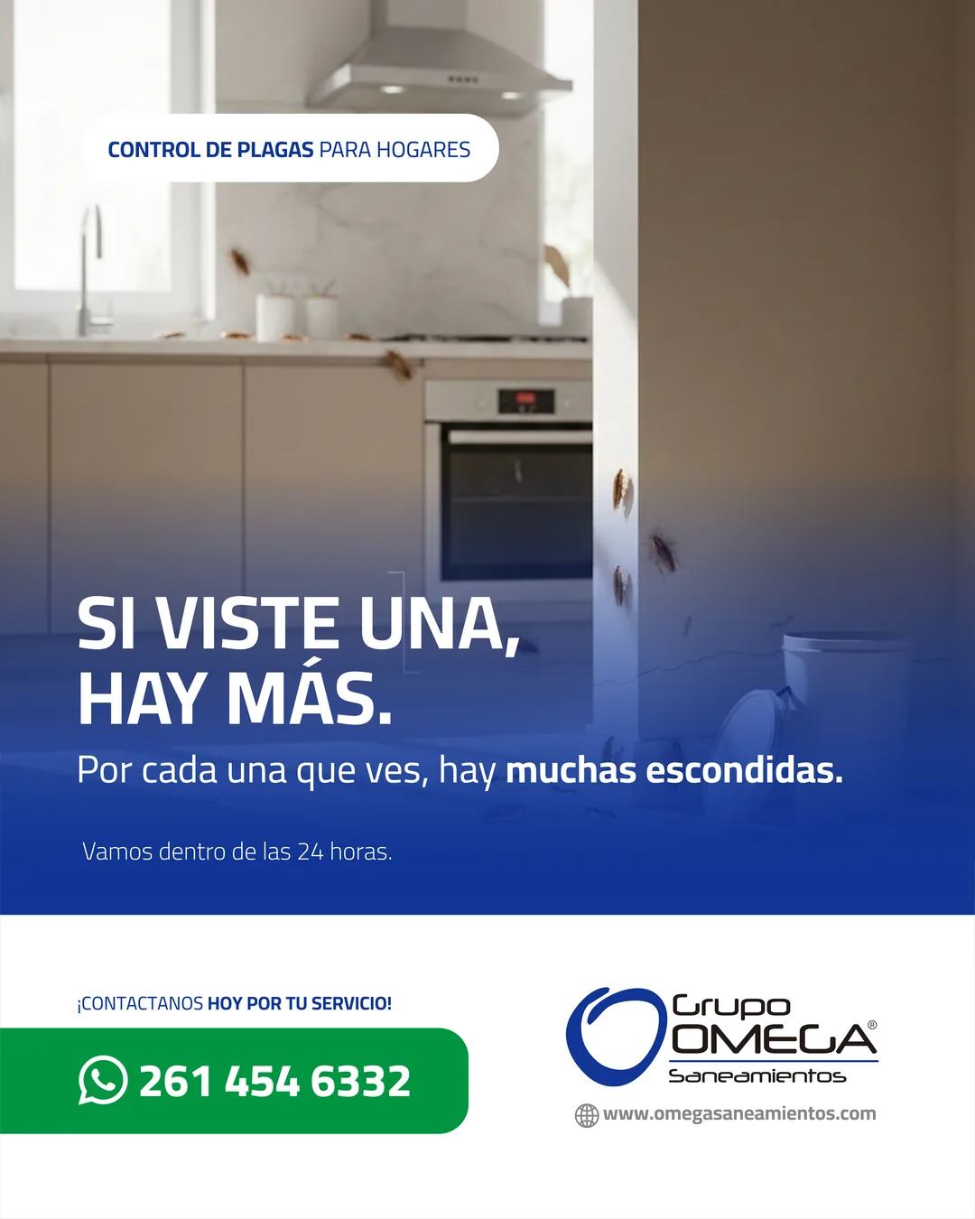 Pieza: Si viste una, hay más.