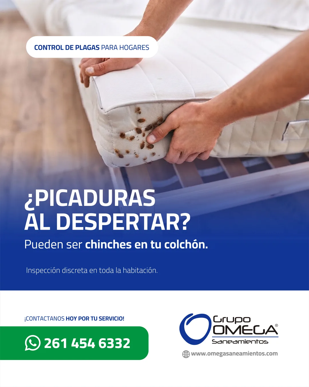 Pieza: ¿Picaduras al despertar?