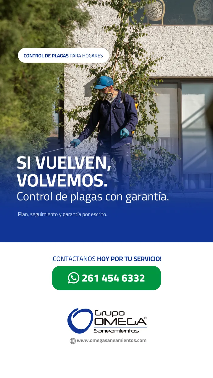 Historia de la campaña