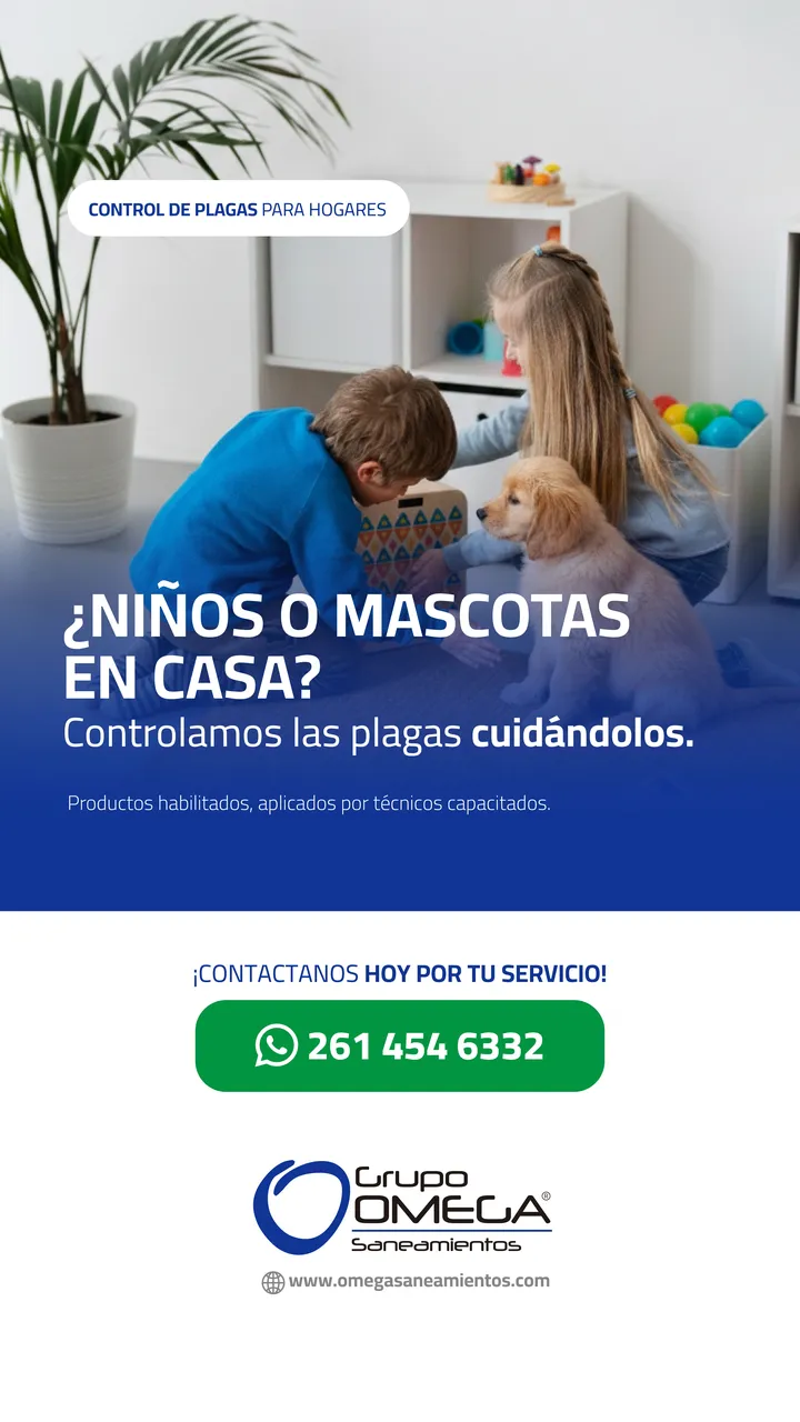 Historia de la campaña