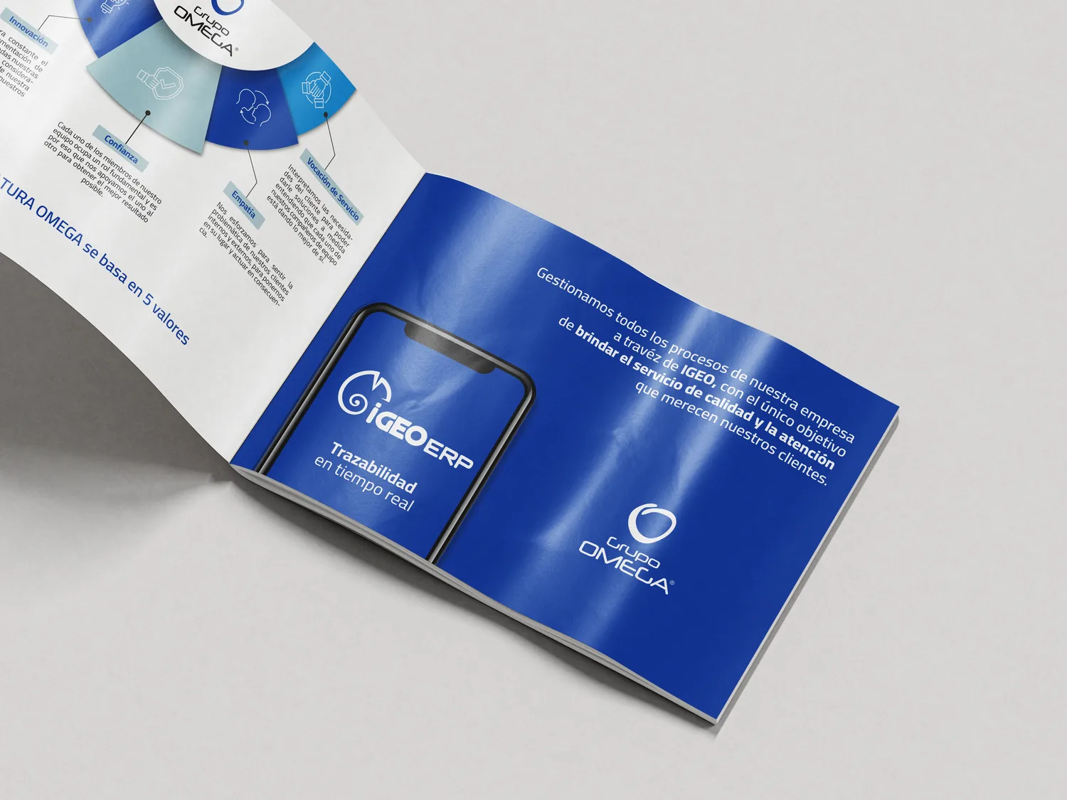 Brochure institucional