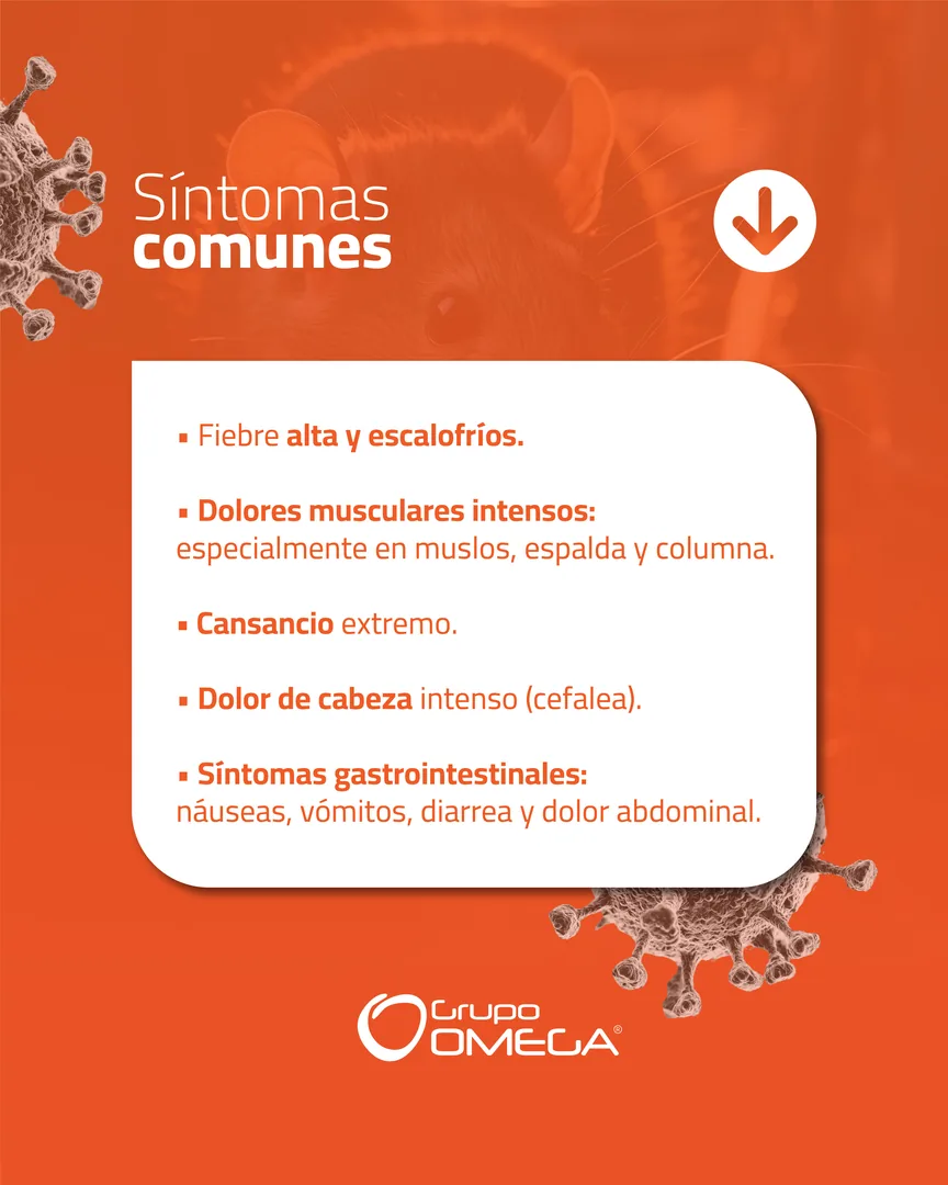 Carrusel Hantavirus — síntomas comunes