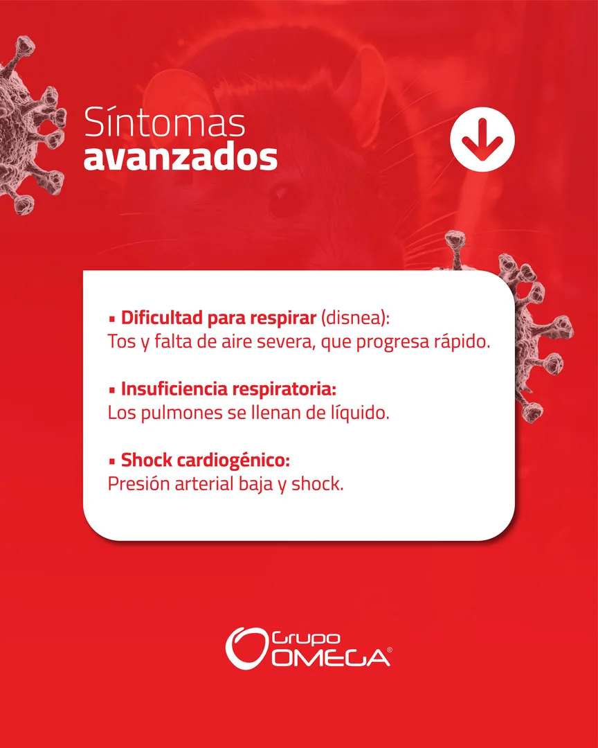 Carrusel Hantavirus — síntomas avanzados