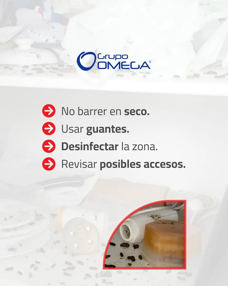 Carrusel — placa 2