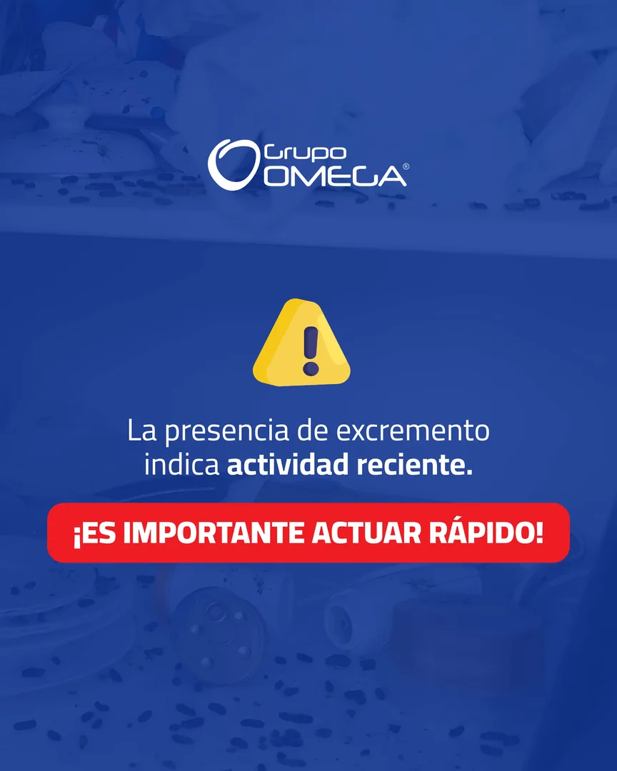 Carrusel — placa 3