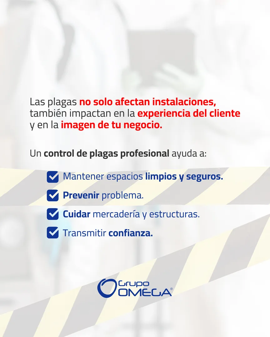 Carrusel — placa 2