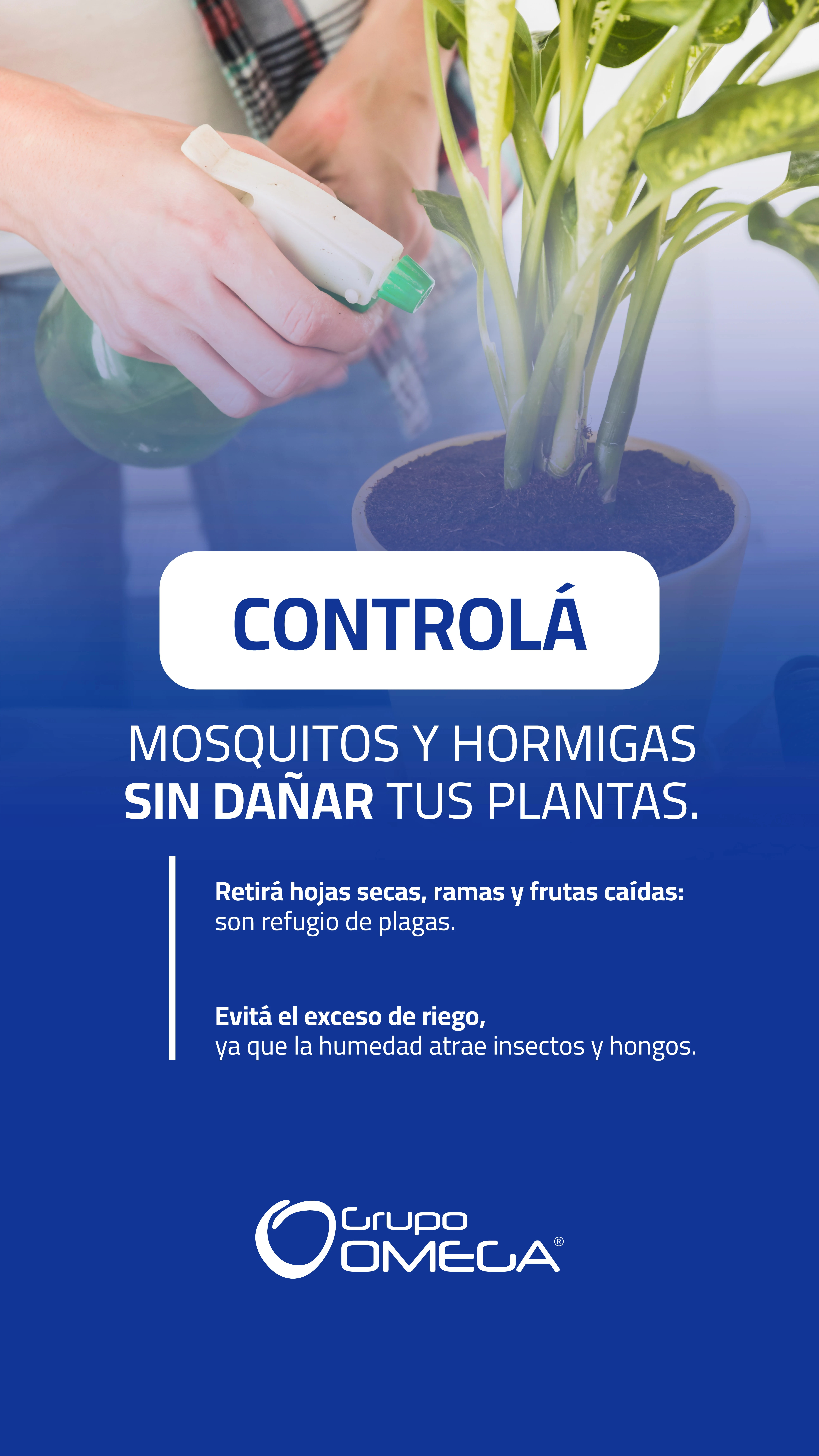 Historia — controlá mosquitos y hormigas sin dañar tus plantas