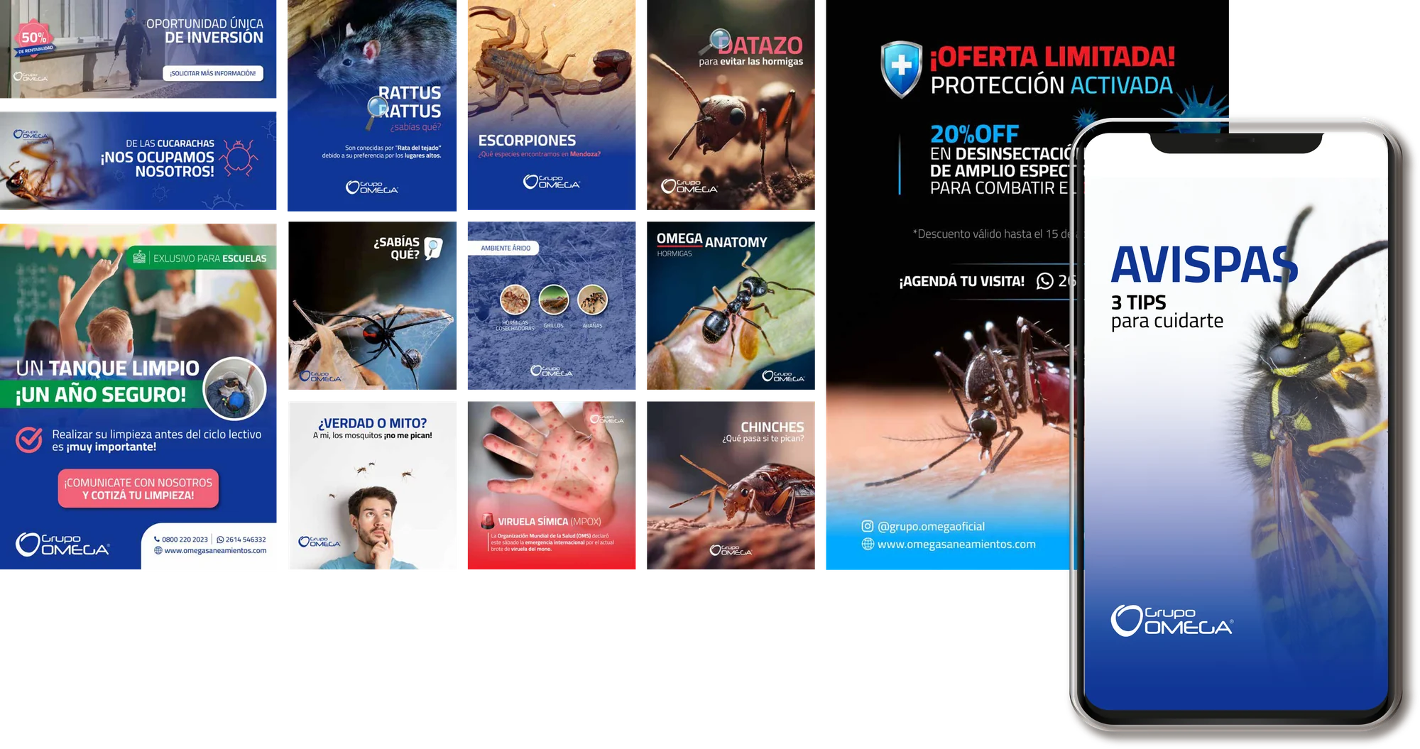 Sistema de redes sociales y web de Grupo Omega
