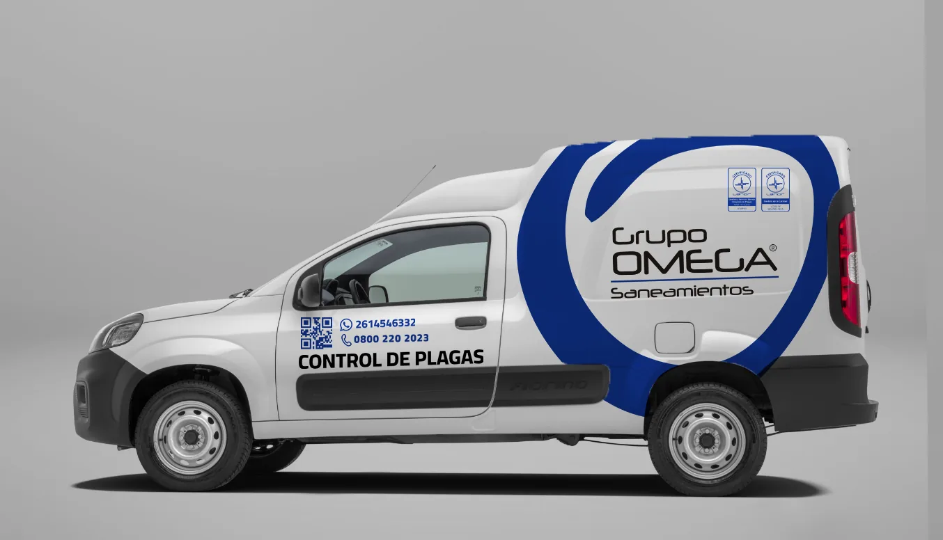 Gráfica vehicular — utilitario de servicio