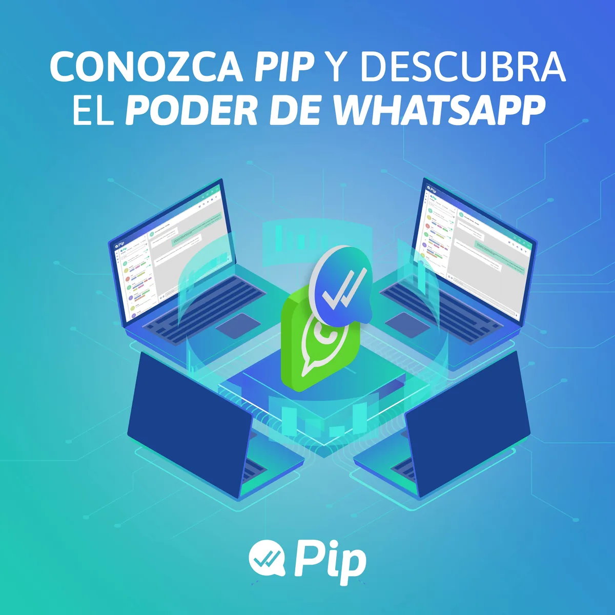 Conocé PIP y el poder de WhatsApp
