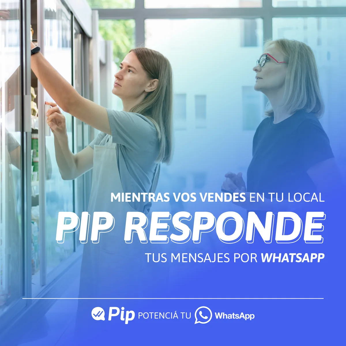 PIP responde tus mensajes por WhatsApp